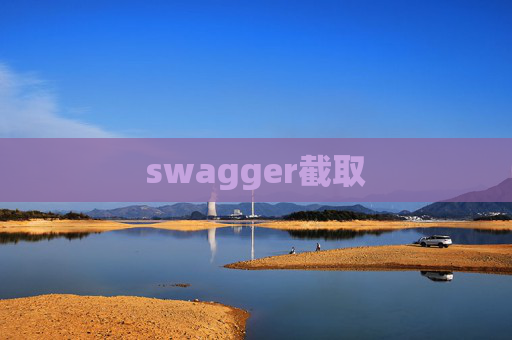 swagger截取